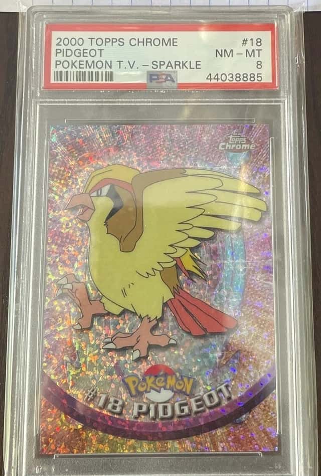 Pidgeot