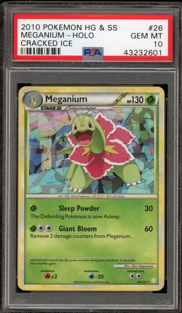 Meganium