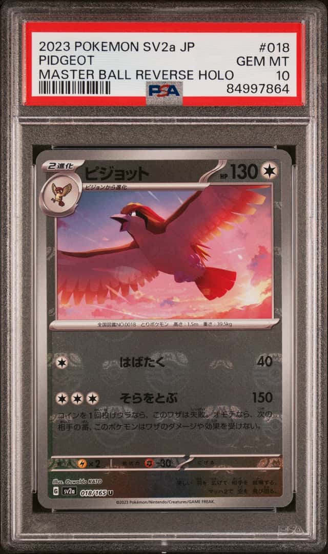 Pidgeot