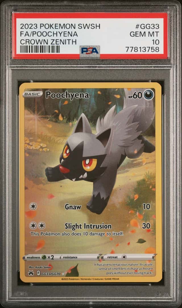 Poochyena