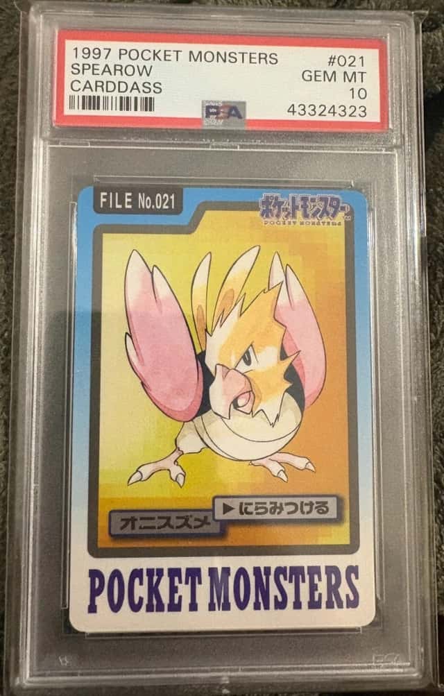 Spearow