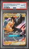 Pikachu & Zekrom Gx