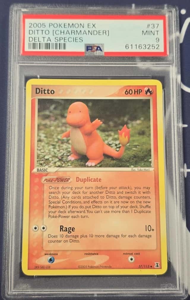 Ditto [Charmander]
