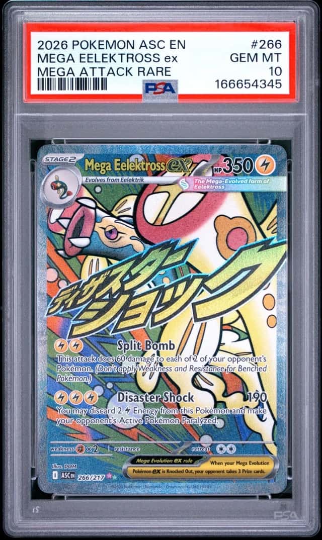 MEGA EELEKTROSS ex