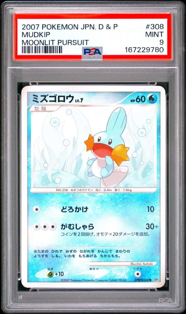Mudkip