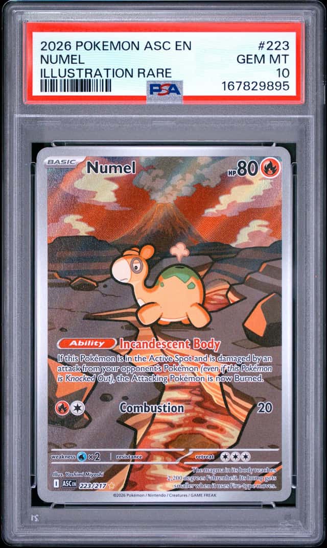 Numel