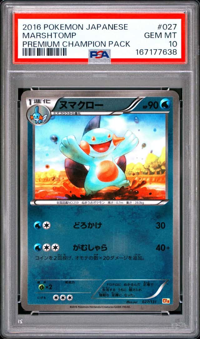 Marshtomp