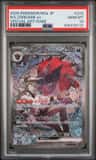N'S Zoroark Ex