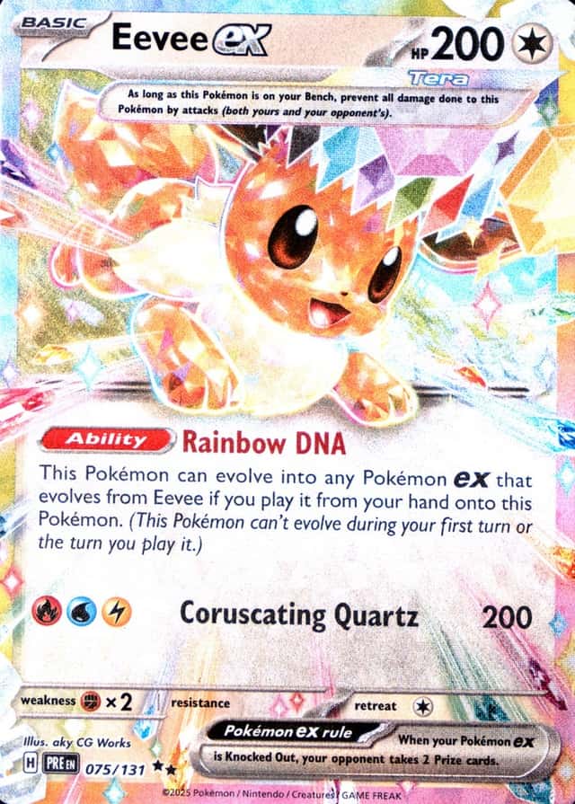 Holo