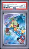 Turtwig