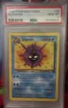 Cloyster