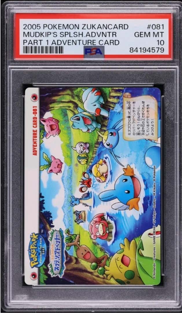 Mudkip's Big Splash