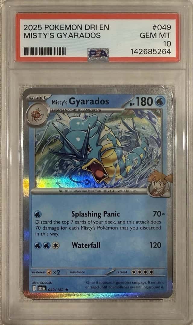 Misty's Gyarados