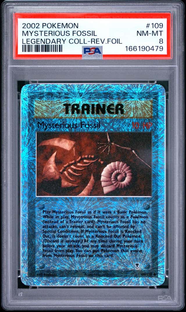 Mysterious Fossil