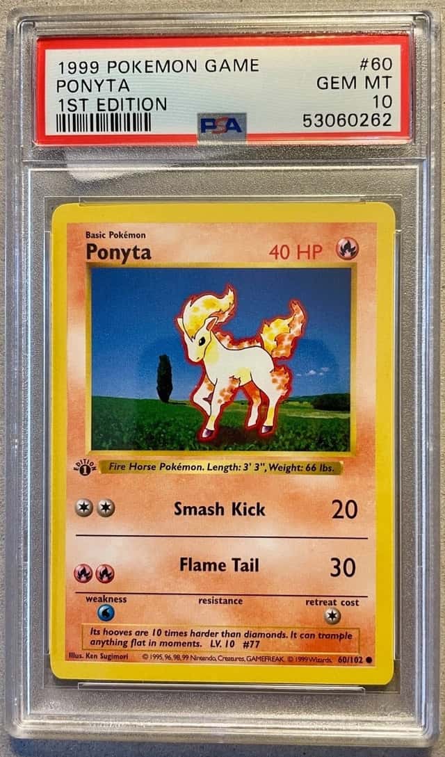 Ponyta