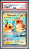 Raichu & Alolan Raichu Gx