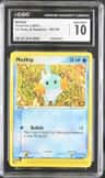 Mudkip