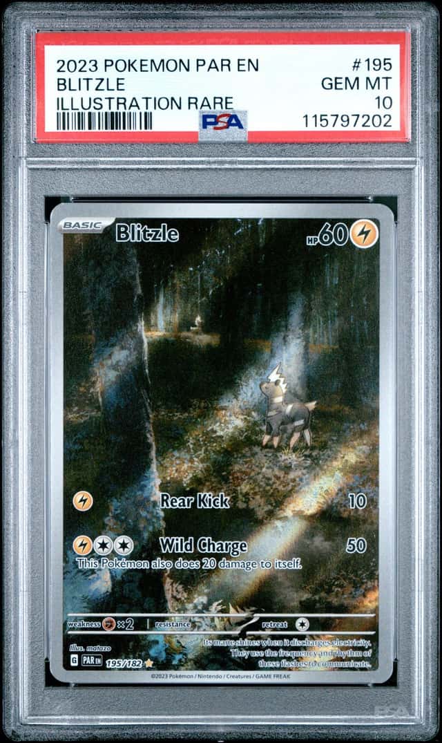 Blitzle