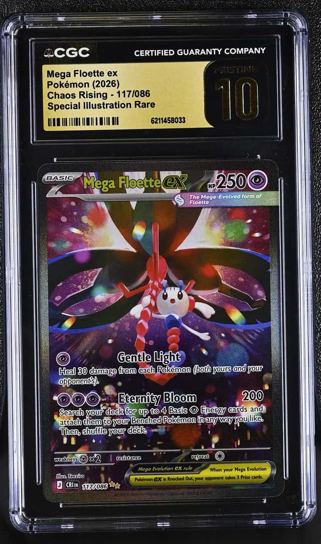 MEGA FLOETTE ex