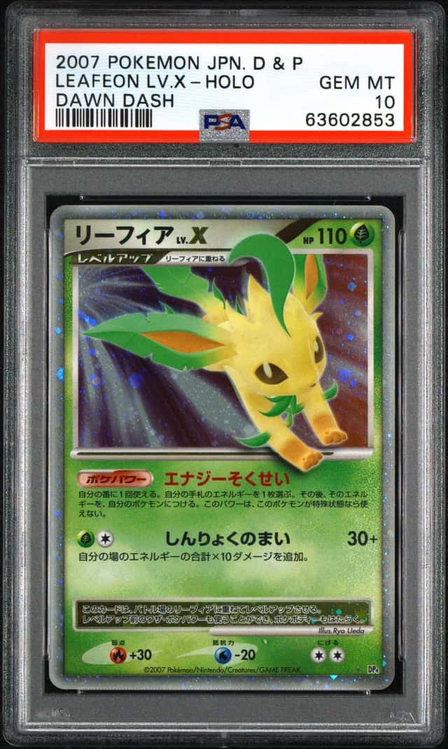 Leafeon Lv X