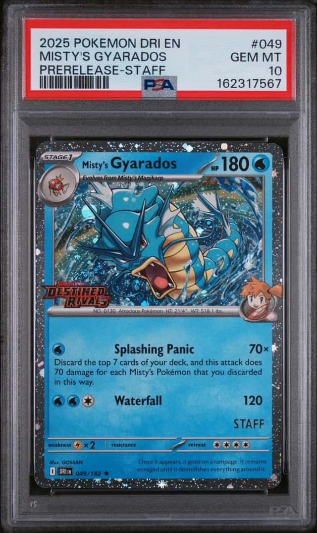 Misty's Gyarados