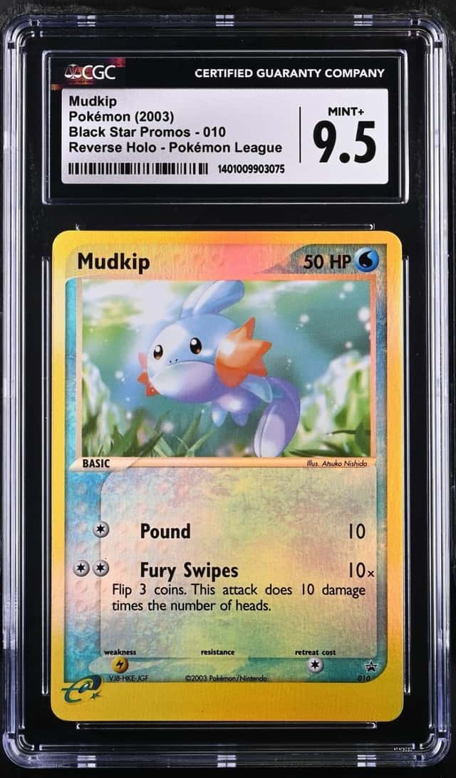 Mudkip