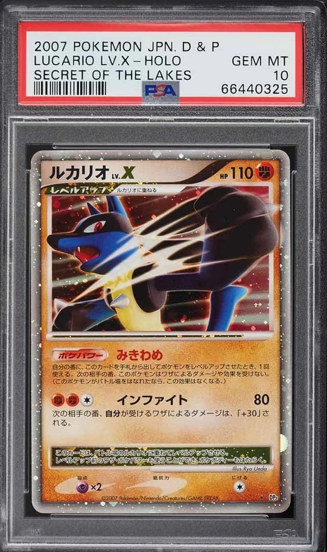 Lucario Lv X