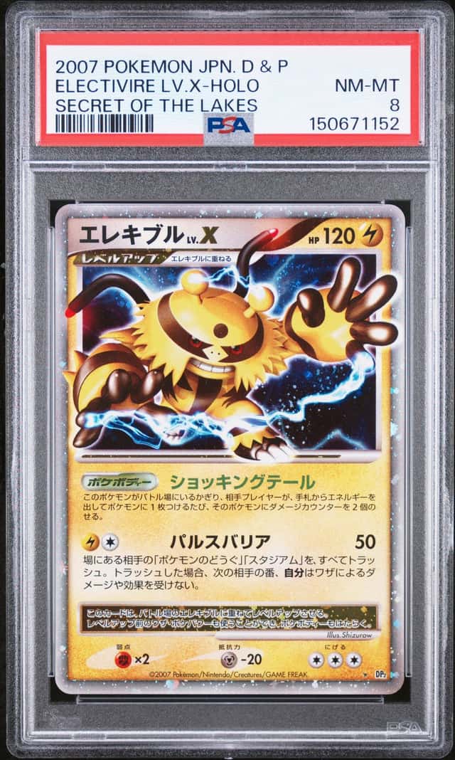 Electivire Lv X