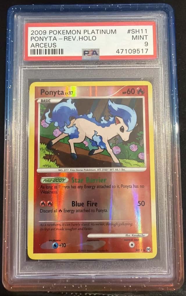 Ponyta