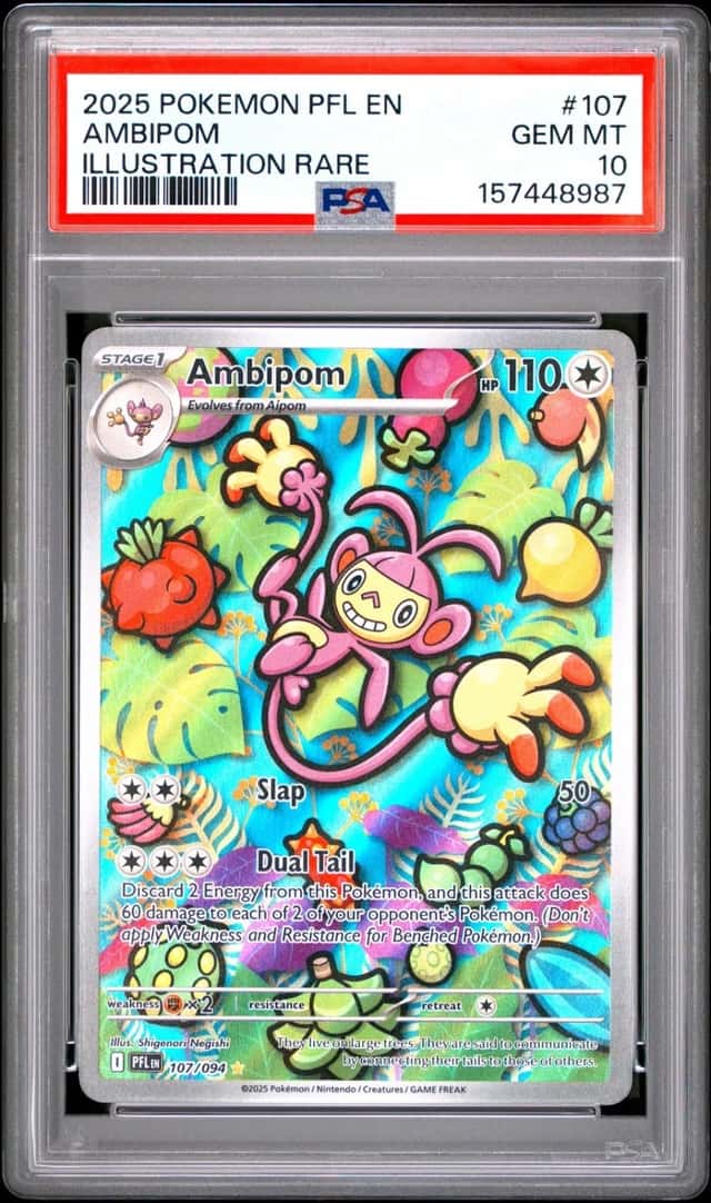 Ambipom
