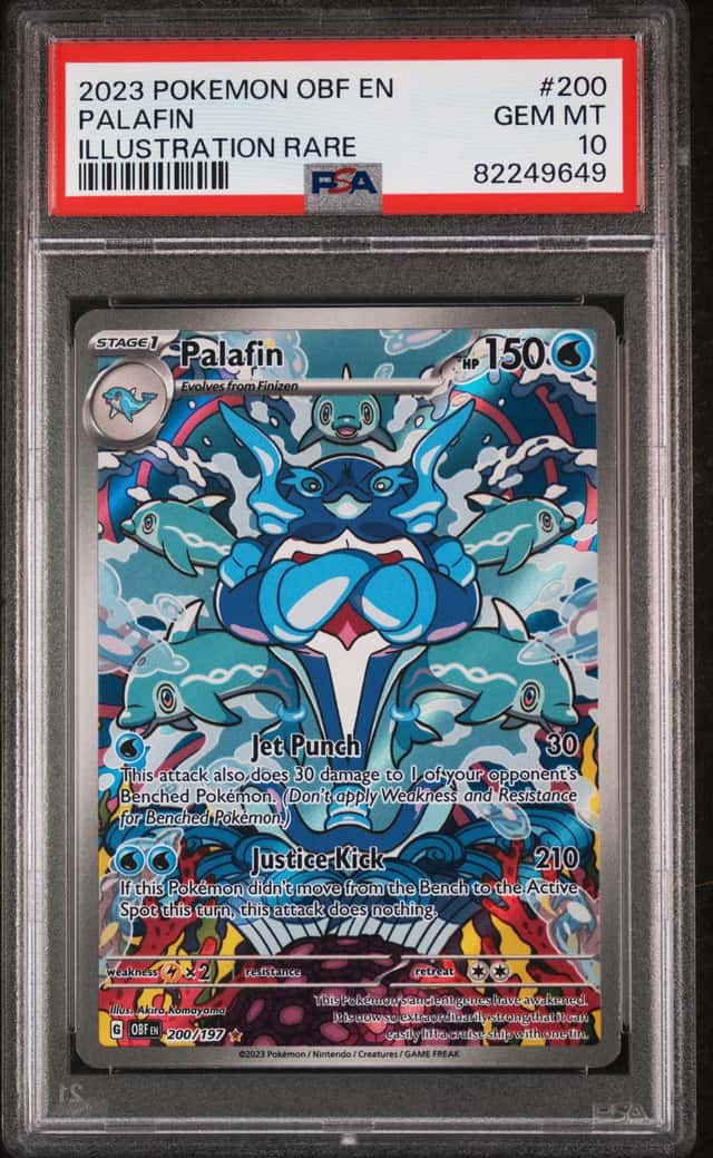 Palafin