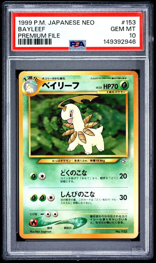 Bayleef