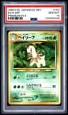 Bayleef