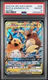 Raichu & Alolan Raichu Gx