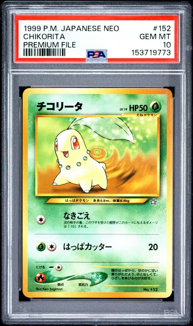 Chikorita