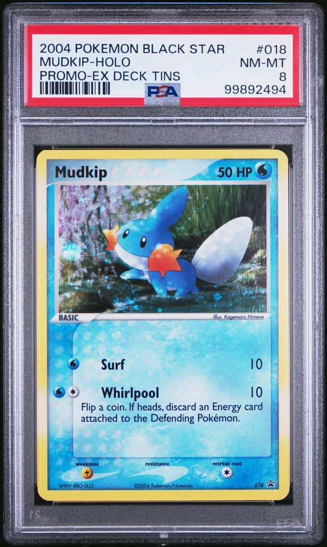 Mudkip