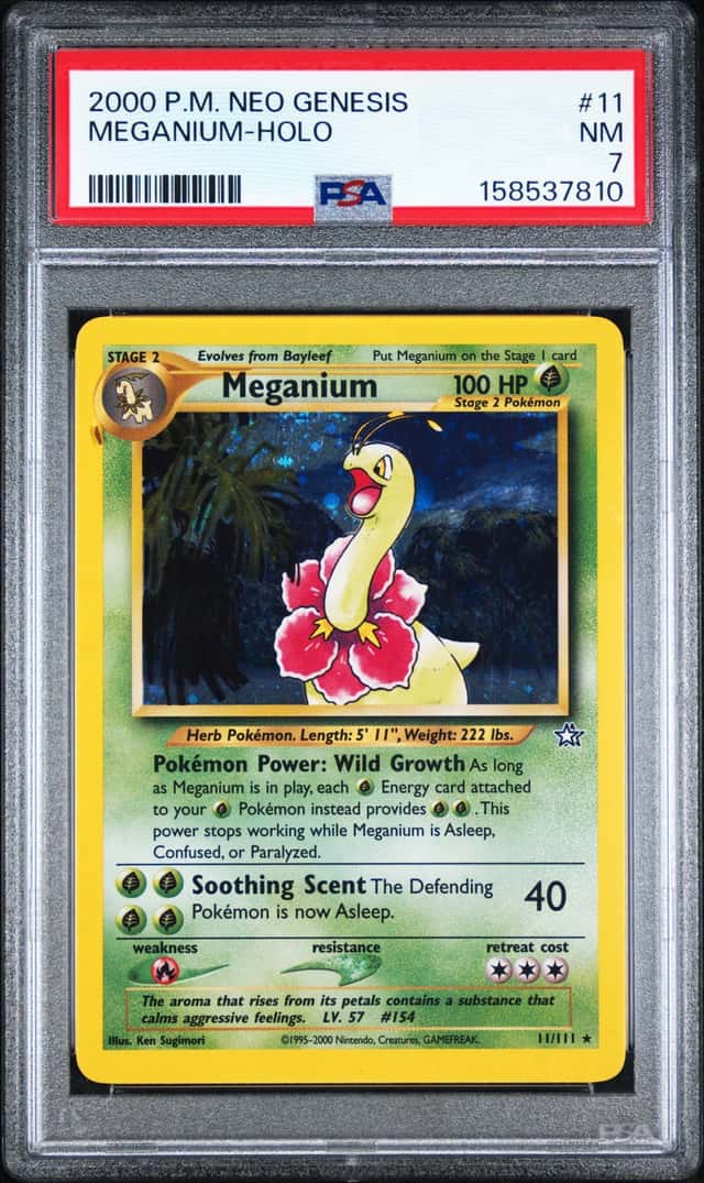 Meganium
