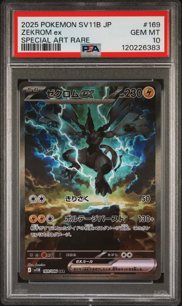 ZEKROM ex