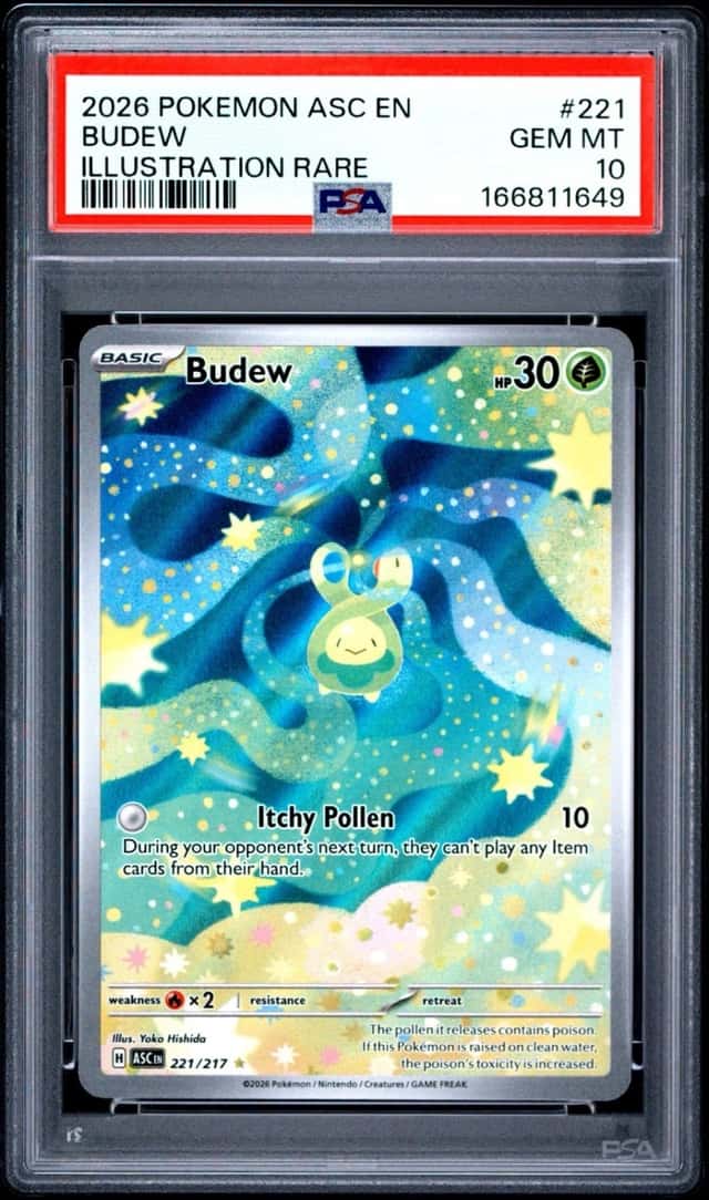 Budew