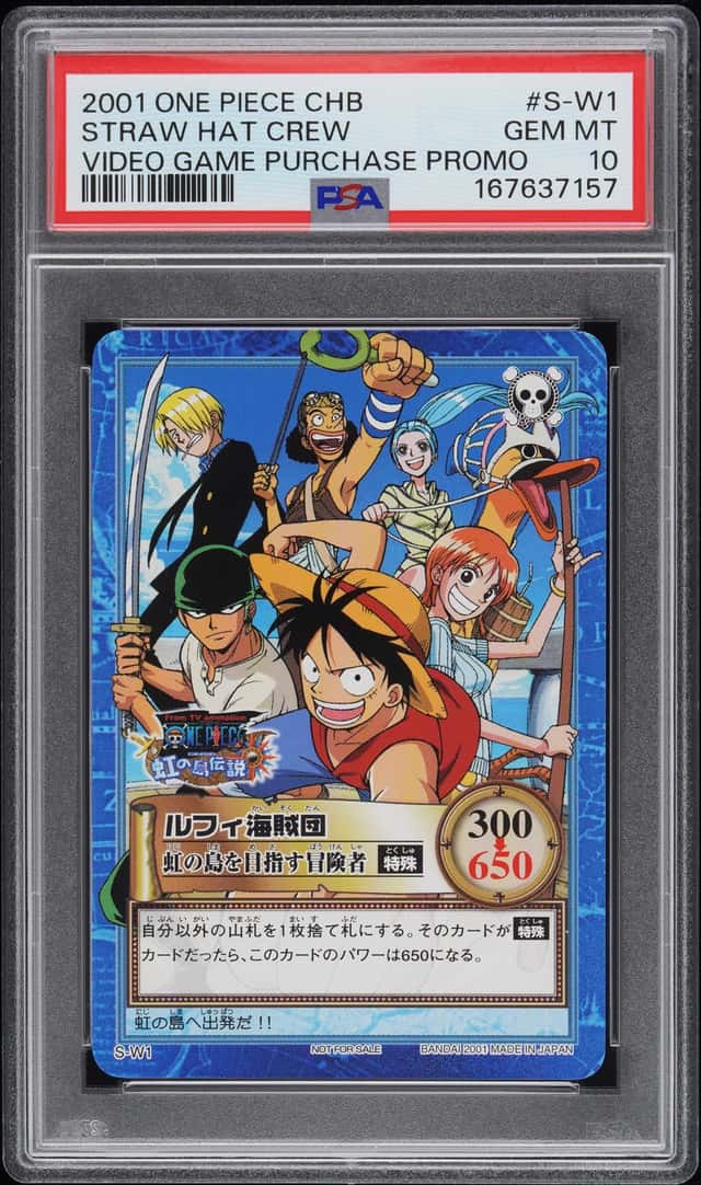 Set Sail Pirate Crew!