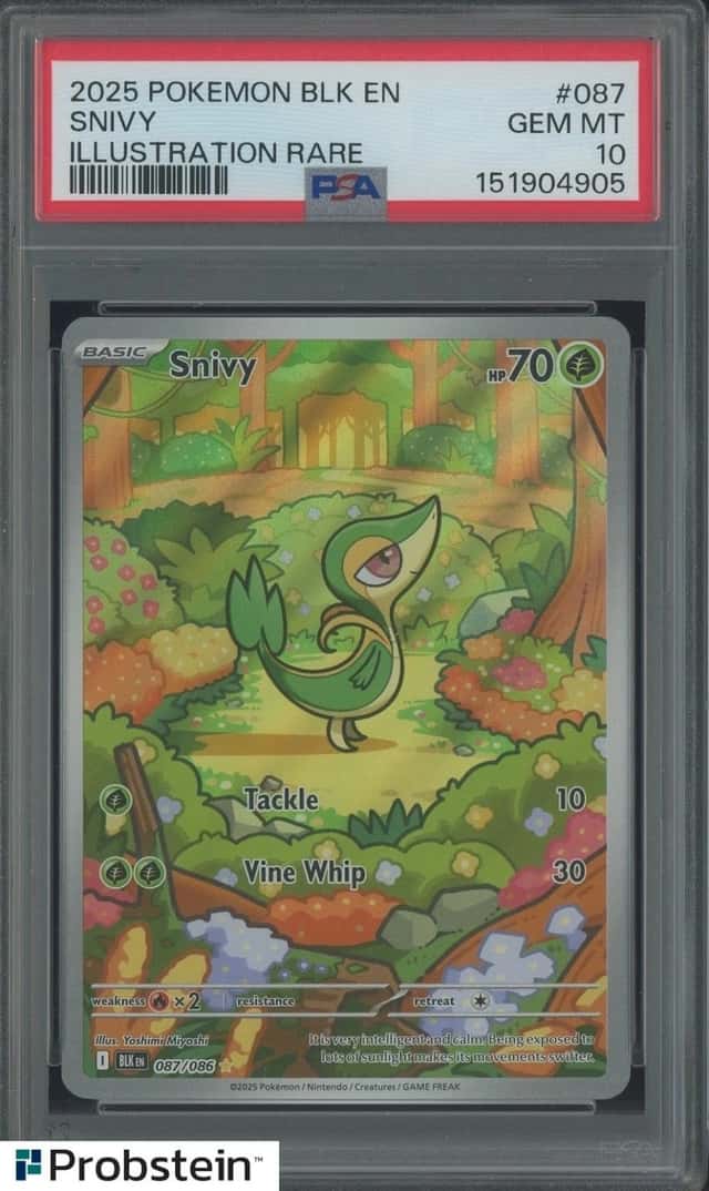 Snivy