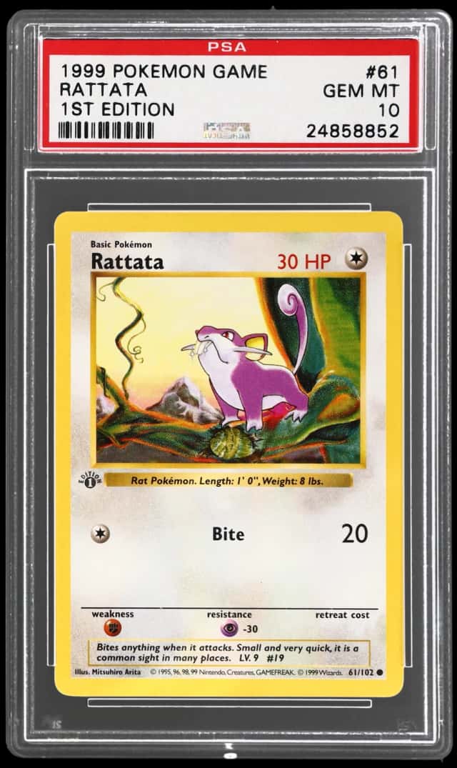 Rattata