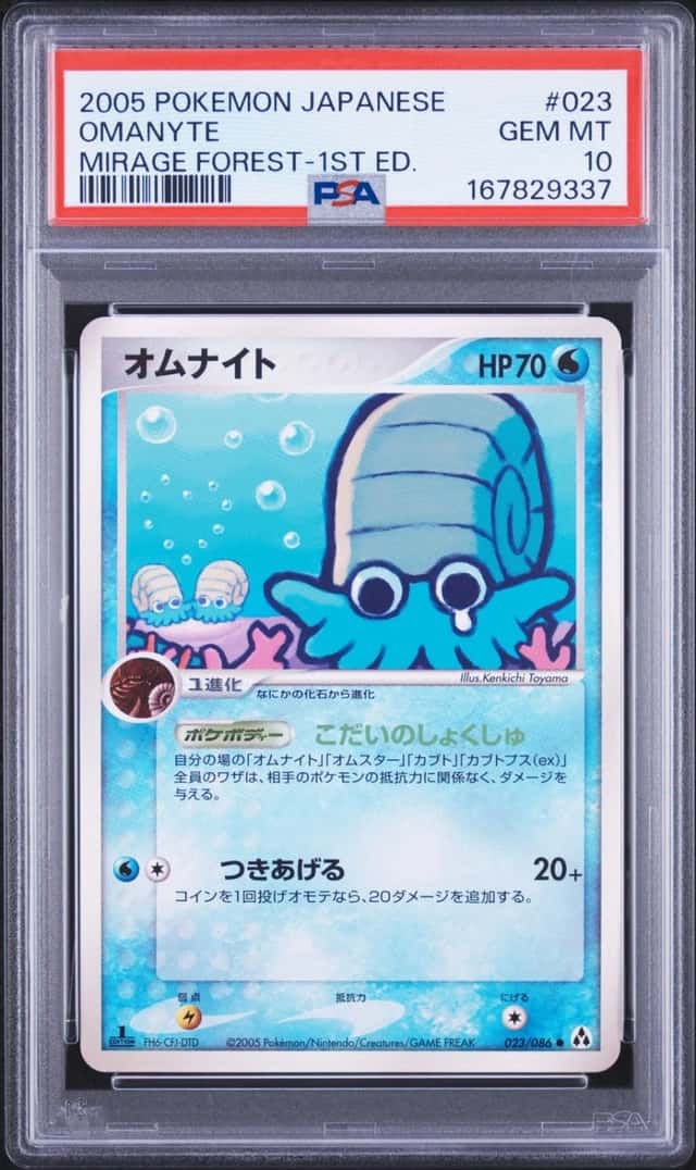 Omanyte