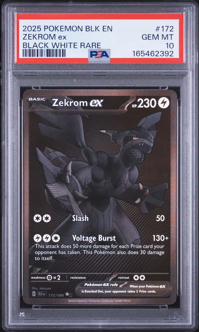ZEKROM ex
