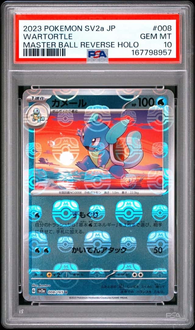Wartortle