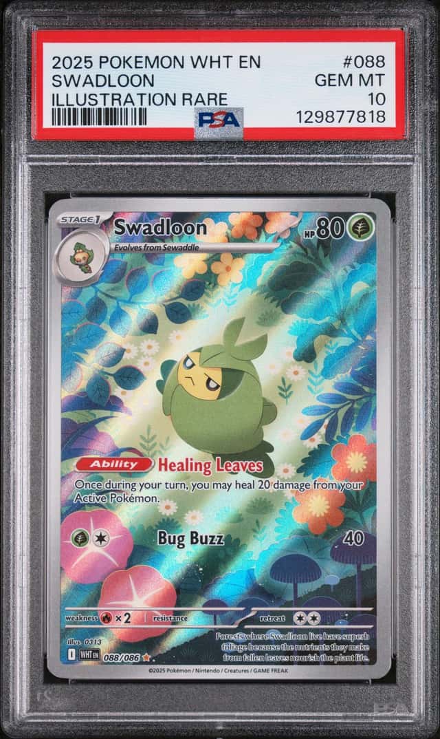 Swadloon