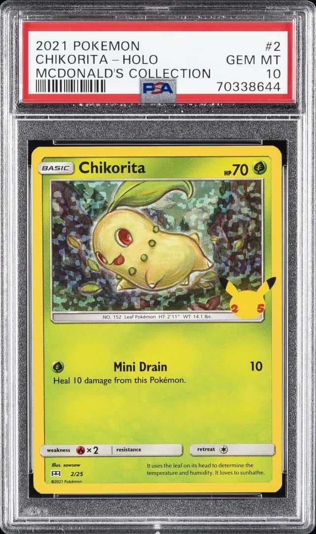 Chikorita