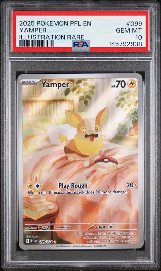 Yamper