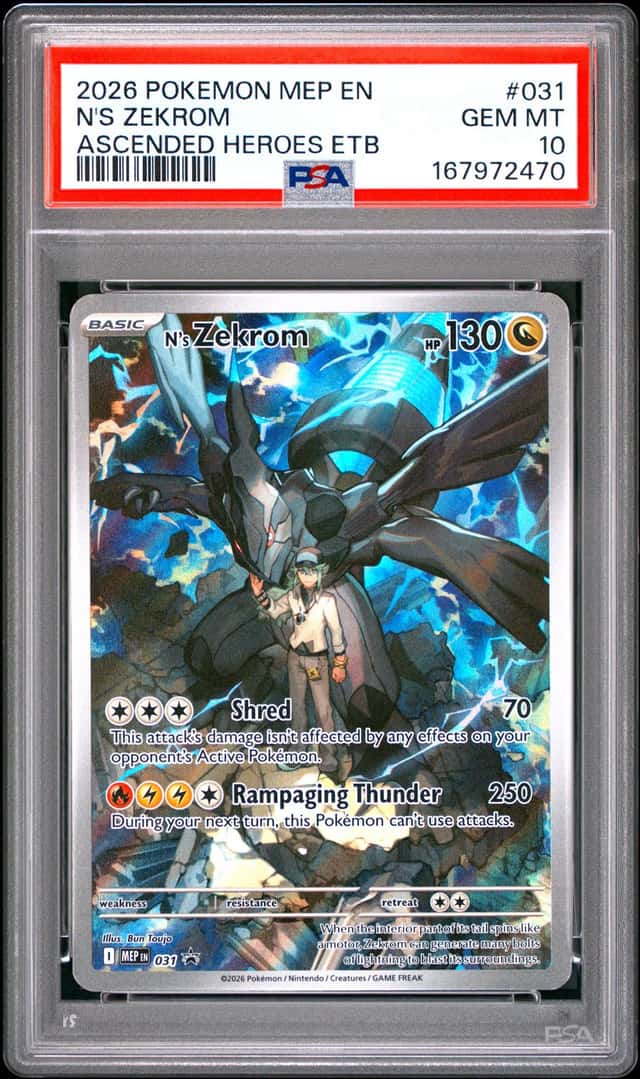 N's Zekrom