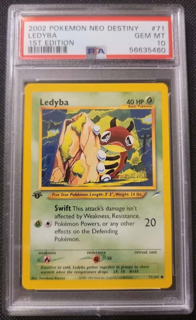 Ledyba